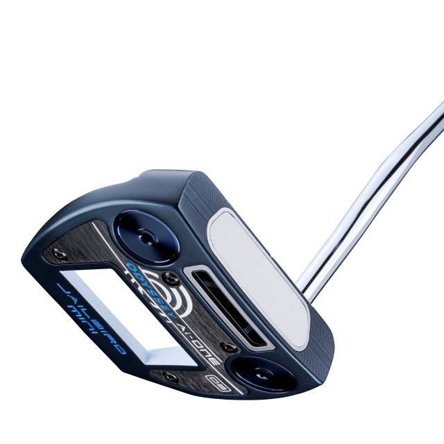 エーアイワン ジェイルバード ミニS／Ai-ONEL JAILBIRD MINI S パター