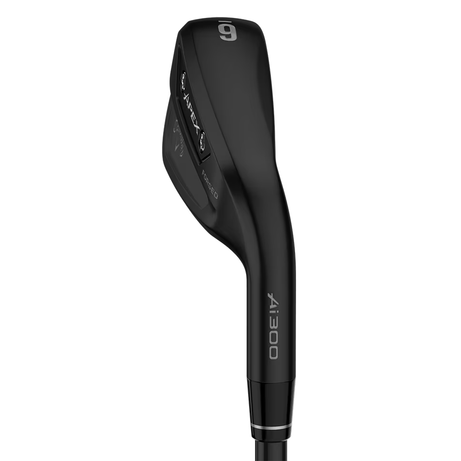 キャロウェイ メンズ APEX Ti FUSION アイアン 6本組(5-9、PW